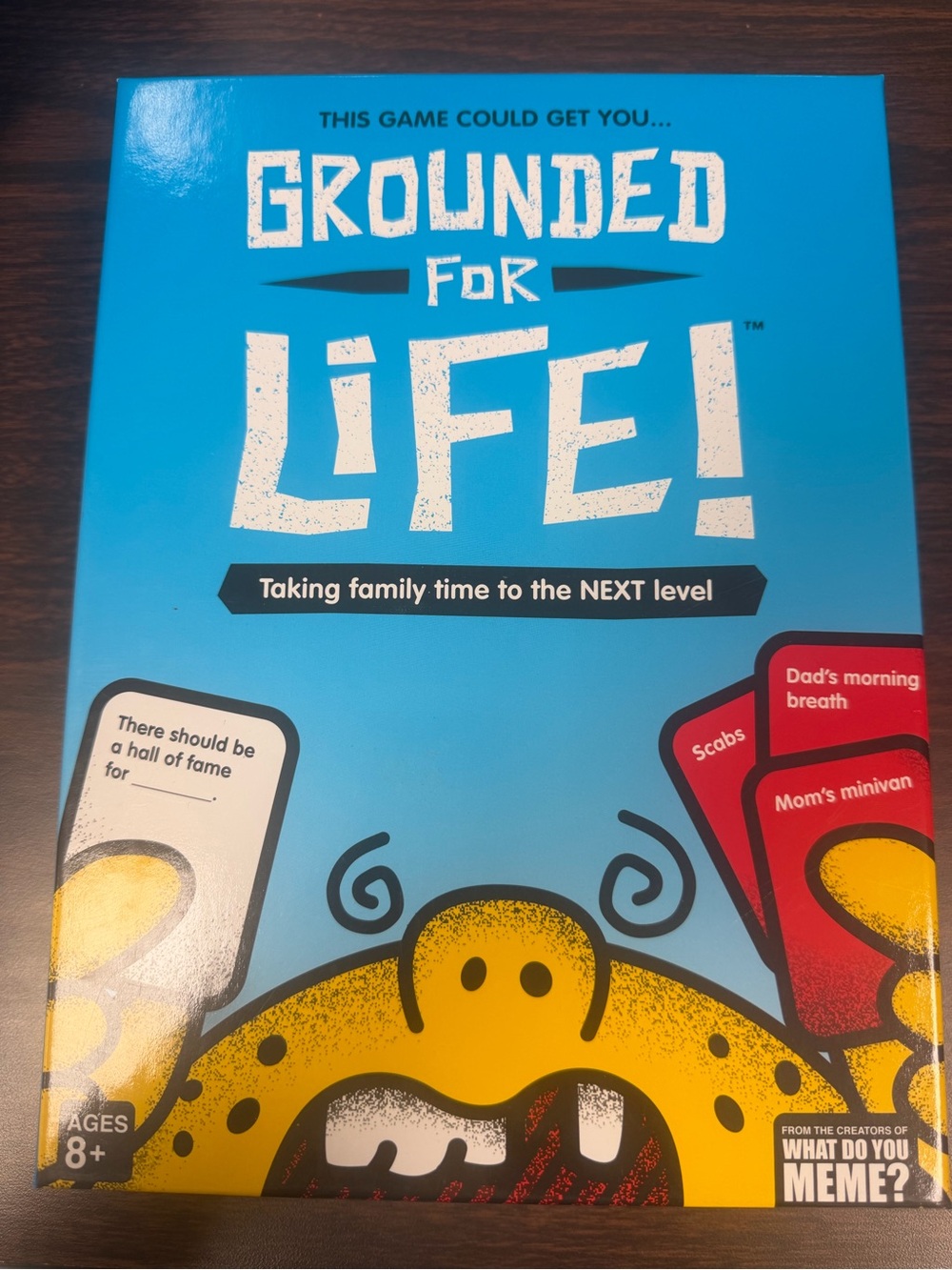 Grounded for Life! Family Card Game - Blue